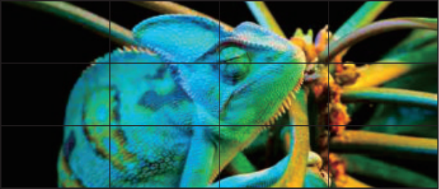 CL-55NMF11_7.png CL-55NMF11_7.png